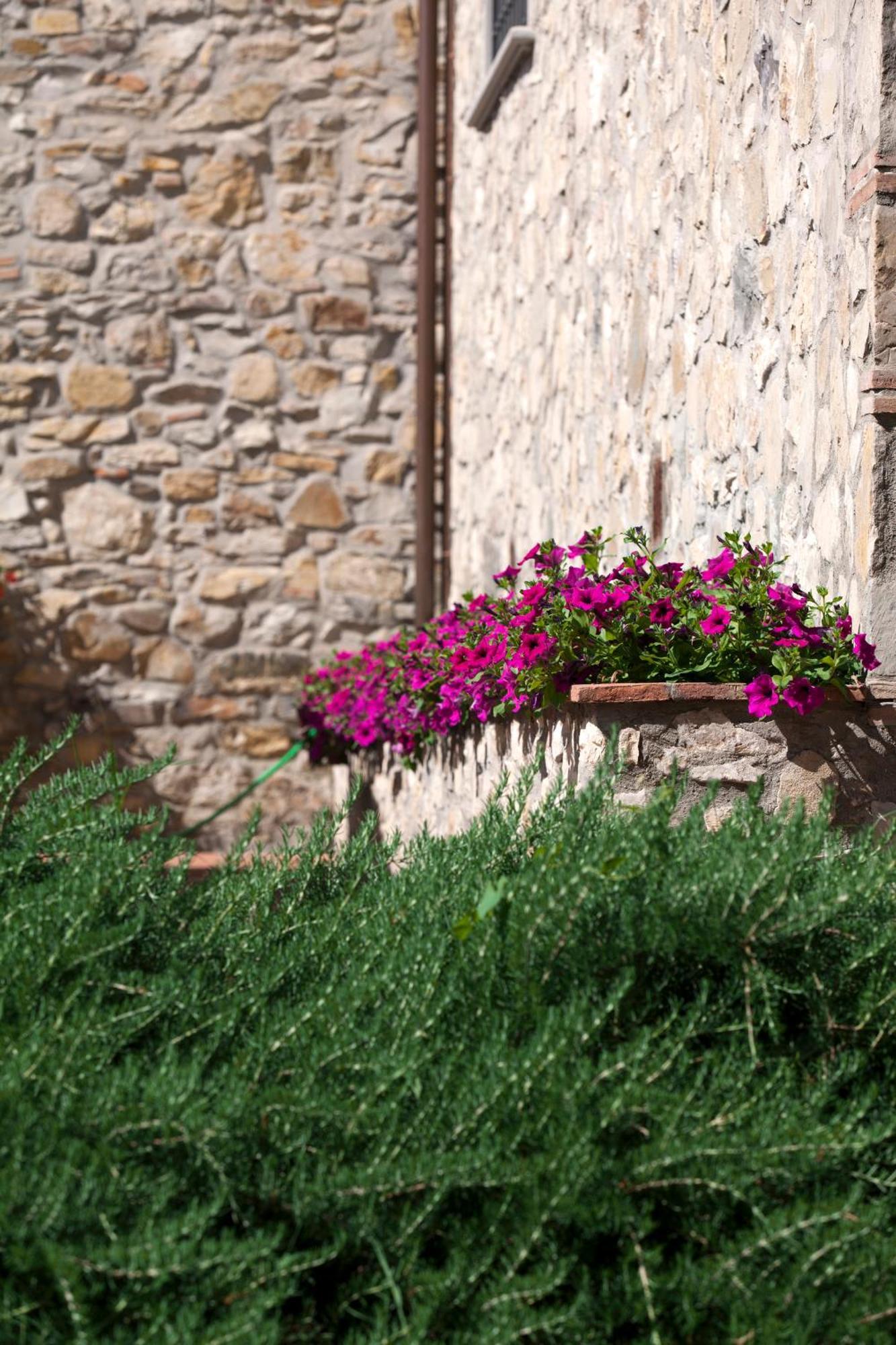 Agriturismo La Casa Di Rodo Quarrata Eksteriør billede