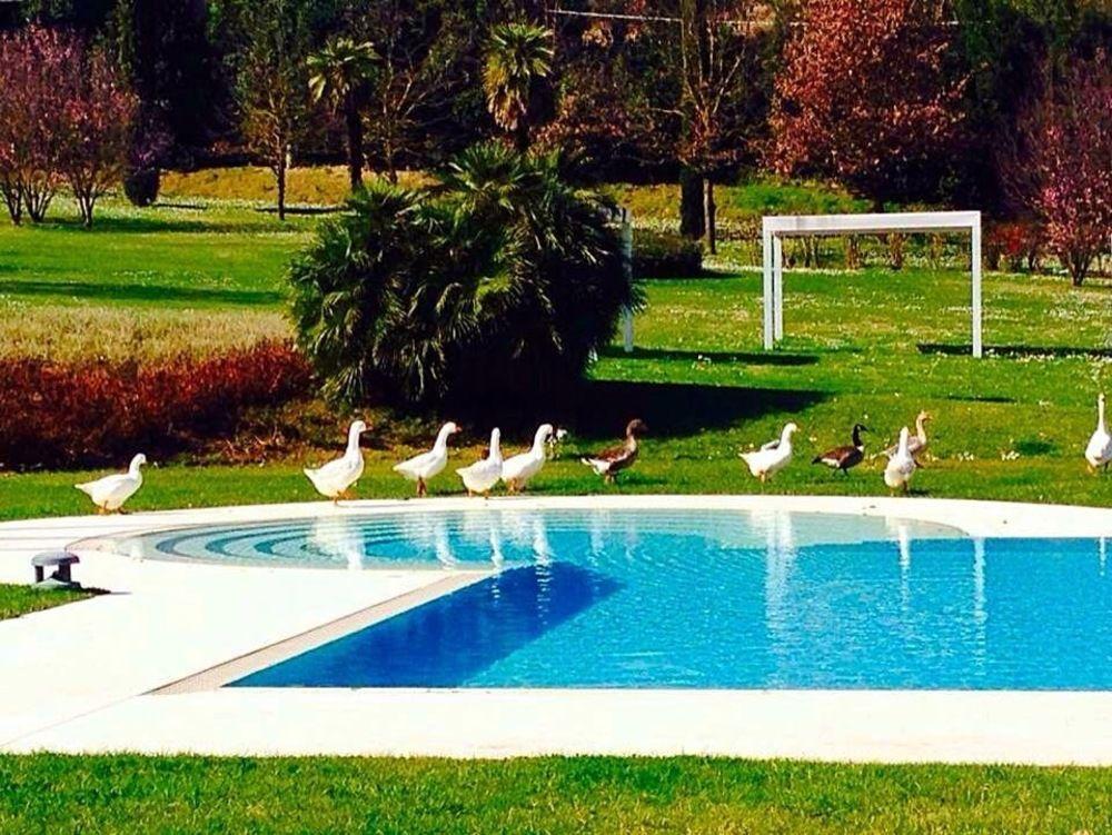 Agriturismo La Casa Di Rodo Quarrata Eksteriør billede